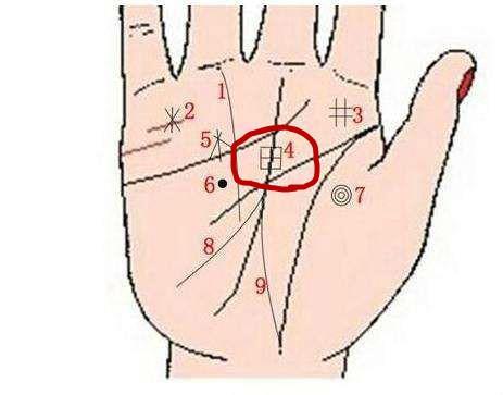 怎么看手纹有房产