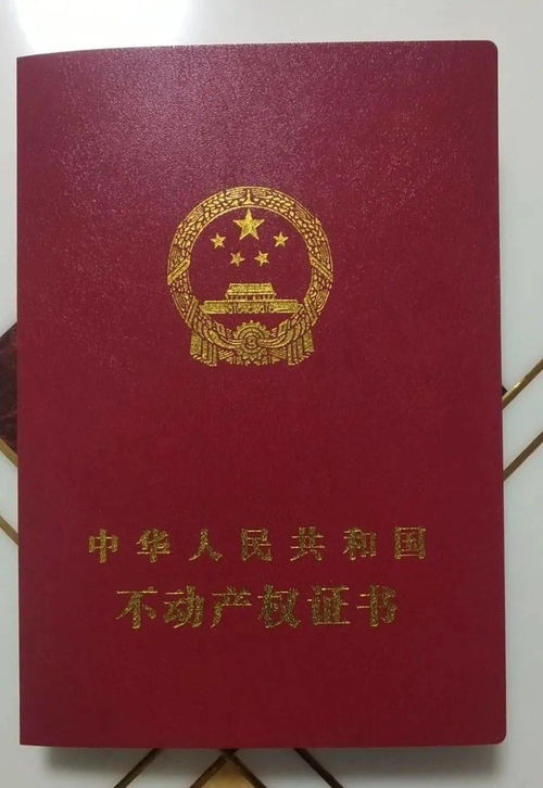 怎么打房产证书电话