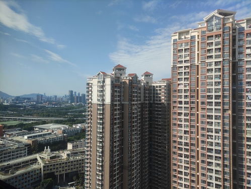 曲靖小寒房产怎么样