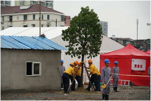 拆迁分房部门怎么分房产 拆迁分房部门怎么分房产