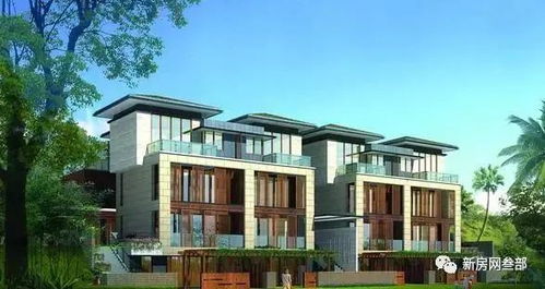 新手怎么卖别墅房产呢