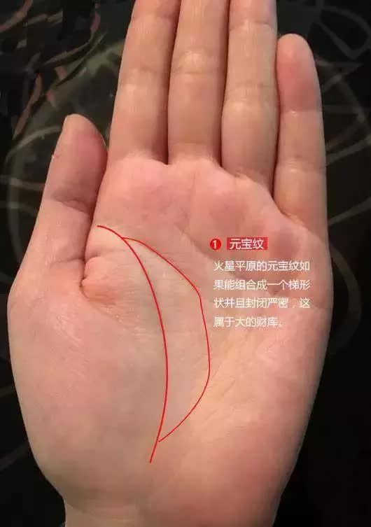 怎么通过手相看房产