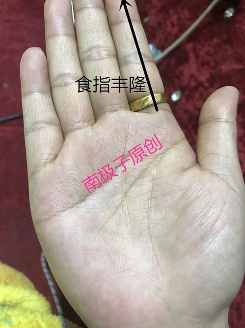 怎么通过手相看房产