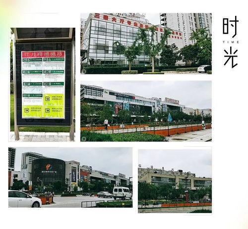 上海房产达人怎么样