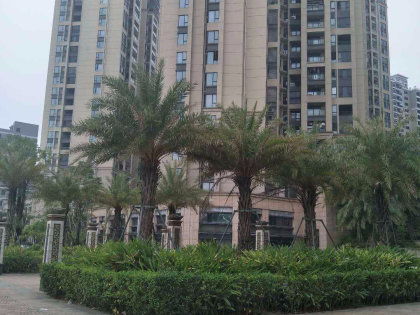 定西启程房产怎么样