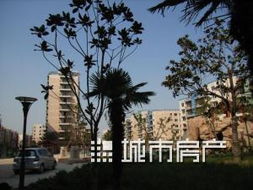 怎么查蚌埠房产信息