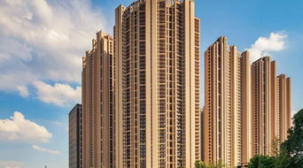 怎么看好东莞无证房产