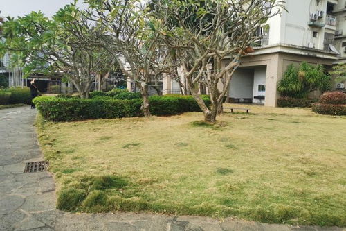 新余嘉华房产怎么样