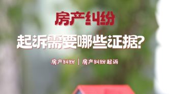 诉讼房产纠纷怎么写