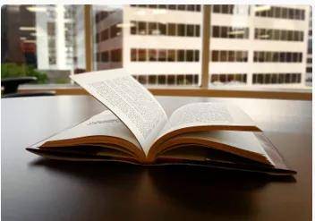 小浪房产达人怎么读