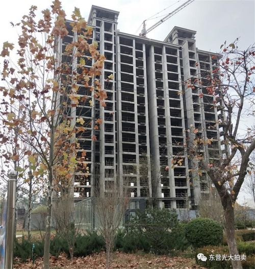 广饶尚能房产怎么样