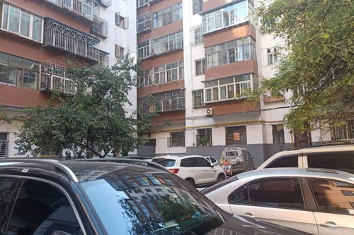 新津的房产怎么样