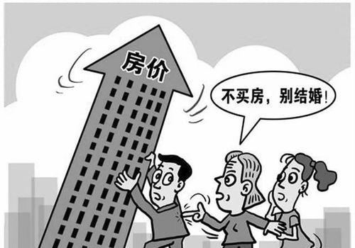 房产我买不起怎么办