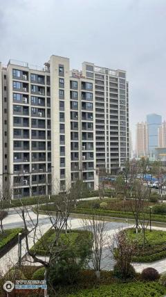 云颂房产怎么样