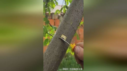 房产嫁接行业怎么样