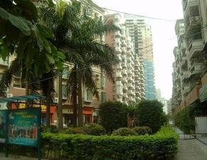 通化房产这套怎么样