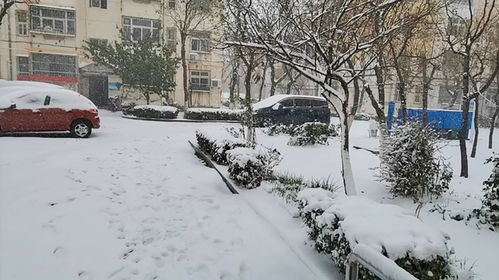 房产雪天堵路怎么举报