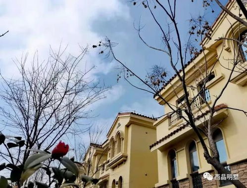 上海阿汤哥房产怎么样