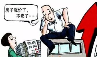 房产怎么买避免诈骗风险