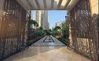 大堂坝做房产怎么选择