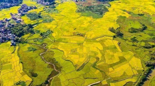 农村房产解禁时间怎么算