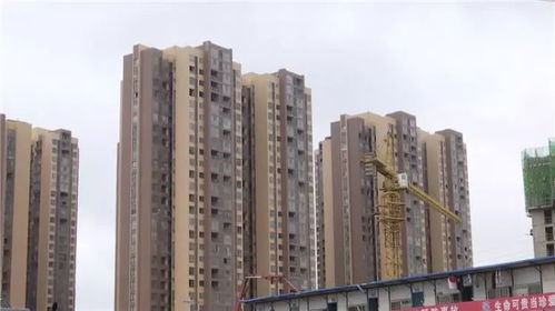 房产交楼参数怎么查