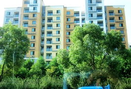 房产房源新房怎么查