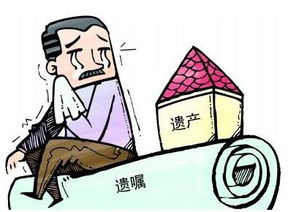 孩子继承父母房产怎么写