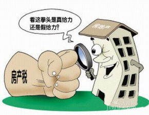 富人怎么应对房产税