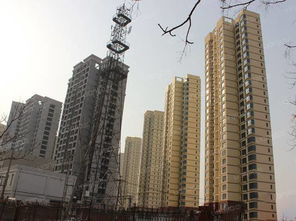 汉沽房产最近怎么了