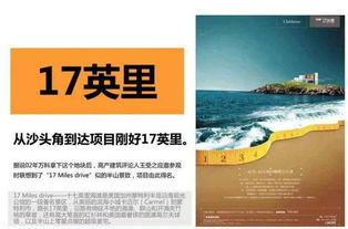 奇葩房产作品介绍怎么写