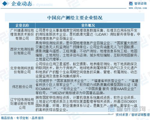 房产测绘市场情况怎么写