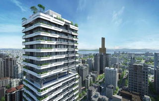 国内怎么购买国外的房产