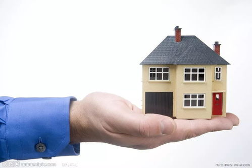 国外房产巴西怎么买卖啊