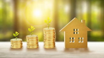 房产交易怎么火了起来