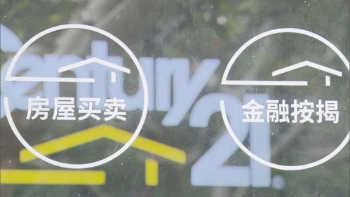 房产交易怎么火了起来