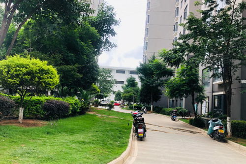 兴盛房产户型怎么样