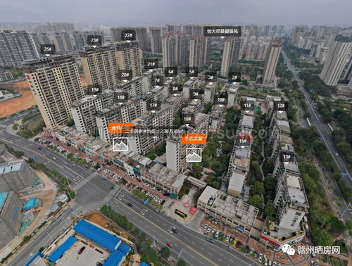 怎么查询房产地段号