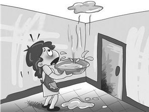 举报个人房产漏水怎么写