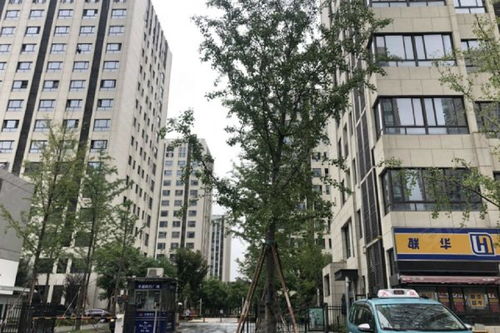 宁波卓越房产怎么样