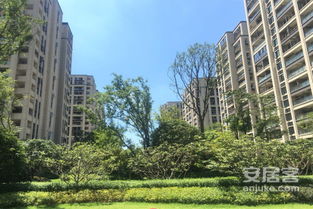 大家钱江房产怎么样 大家钱江房产怎么样