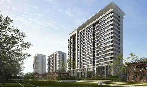 聊城起点房产怎么样