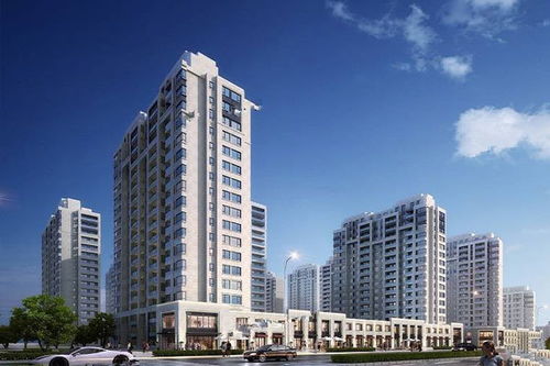 聊城起点房产怎么样