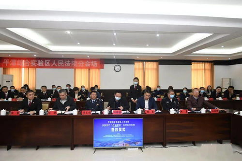 法院执行房产怎么买 法院执行房产怎么买