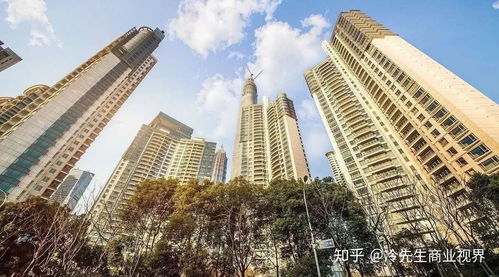 隆尧未来房产怎么样