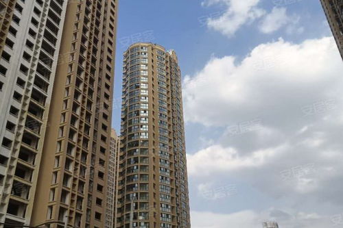 美丽房产直播怎么样