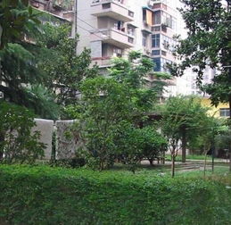 海宁房产怎么选房源的