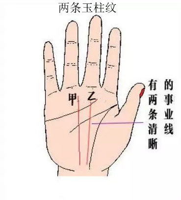 怎么看手相算房产