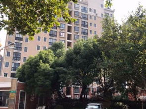 眉山天意房产怎么样