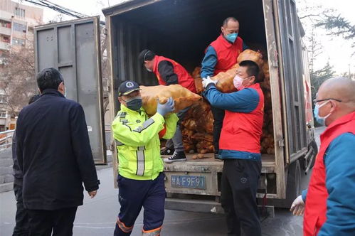 捐献房产给集体怎么处理